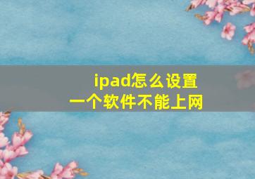 ipad怎么设置一个软件不能上网