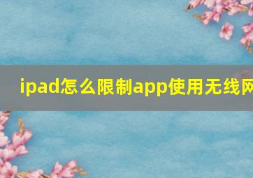 ipad怎么限制app使用无线网