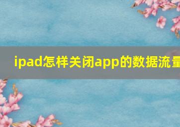 ipad怎样关闭app的数据流量