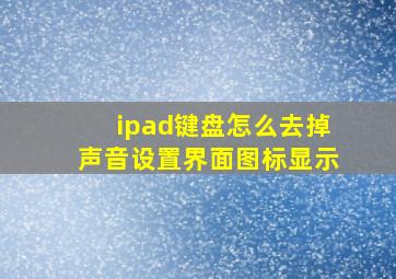 ipad键盘怎么去掉声音设置界面图标显示