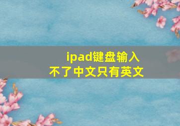 ipad键盘输入不了中文只有英文