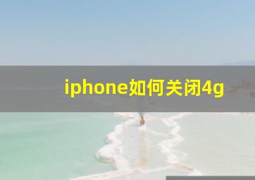 iphone如何关闭4g