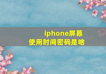 iphone屏幕使用时间密码是啥