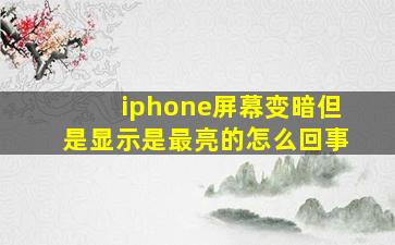 iphone屏幕变暗但是显示是最亮的怎么回事