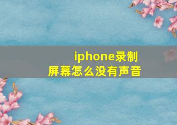 iphone录制屏幕怎么没有声音