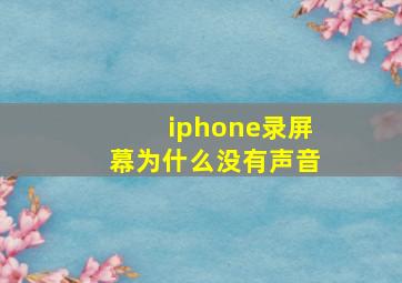 iphone录屏幕为什么没有声音