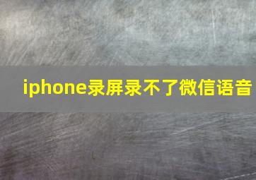 iphone录屏录不了微信语音