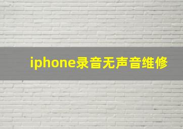 iphone录音无声音维修