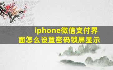 iphone微信支付界面怎么设置密码锁屏显示