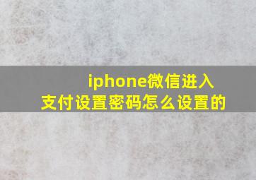 iphone微信进入支付设置密码怎么设置的