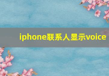 iphone联系人显示voice