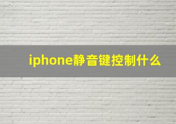 iphone静音键控制什么