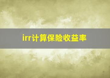 irr计算保险收益率