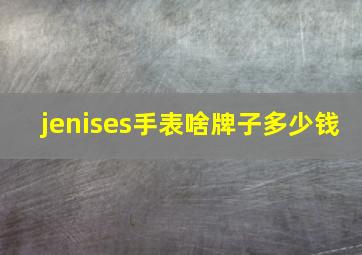 jenises手表啥牌子多少钱