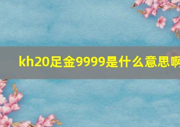 kh20足金9999是什么意思啊