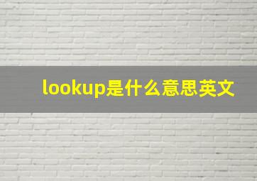 lookup是什么意思英文