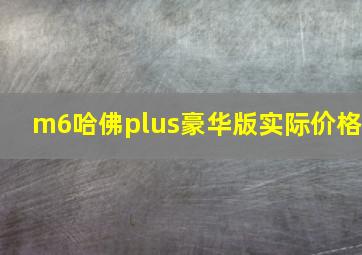 m6哈佛plus豪华版实际价格