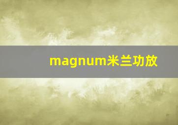 magnum米兰功放