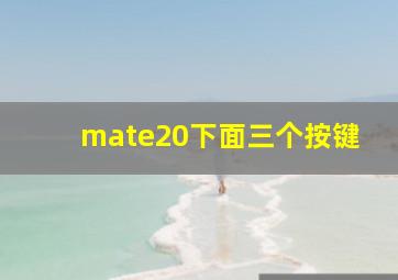 mate20下面三个按键