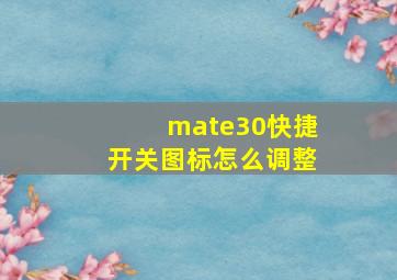 mate30快捷开关图标怎么调整