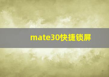 mate30快捷锁屏