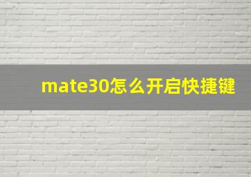 mate30怎么开启快捷键