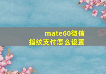 mate60微信指纹支付怎么设置