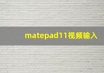 matepad11视频输入