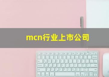 mcn行业上市公司