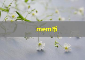 mem币