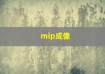 mip成像