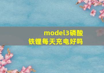 model3磷酸铁锂每天充电好吗