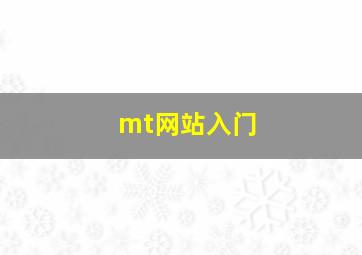 mt网站入门