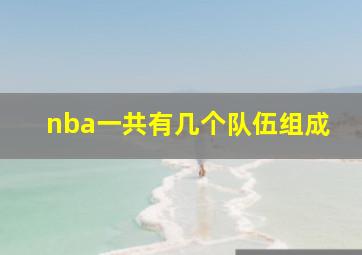 nba一共有几个队伍组成