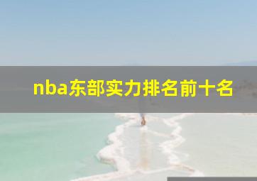 nba东部实力排名前十名