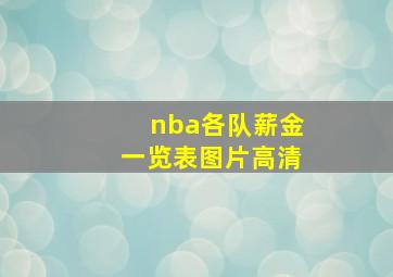 nba各队薪金一览表图片高清