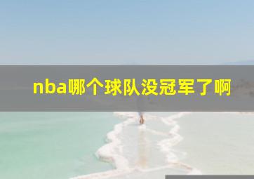 nba哪个球队没冠军了啊