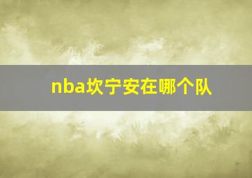 nba坎宁安在哪个队