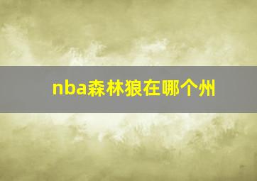 nba森林狼在哪个州