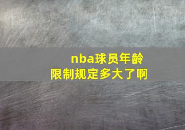 nba球员年龄限制规定多大了啊