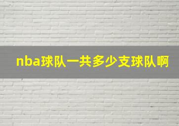 nba球队一共多少支球队啊