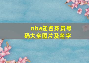 nba知名球员号码大全图片及名字