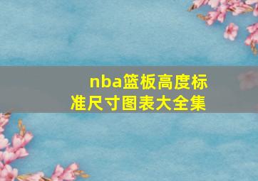 nba篮板高度标准尺寸图表大全集