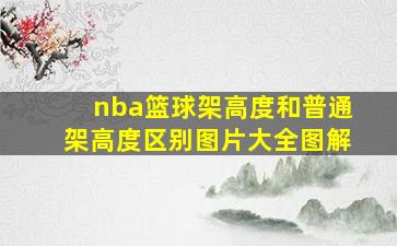 nba篮球架高度和普通架高度区别图片大全图解