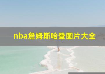 nba詹姆斯哈登图片大全