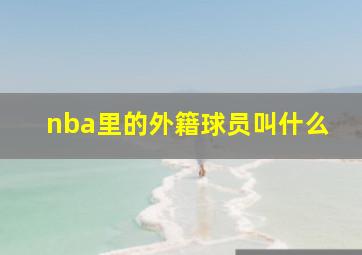 nba里的外籍球员叫什么