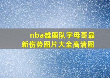 nba雄鹿队字母哥最新伤势图片大全高清图