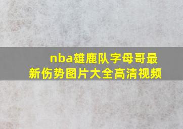 nba雄鹿队字母哥最新伤势图片大全高清视频