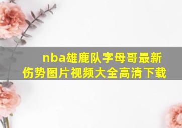 nba雄鹿队字母哥最新伤势图片视频大全高清下载