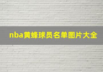 nba黄蜂球员名单图片大全